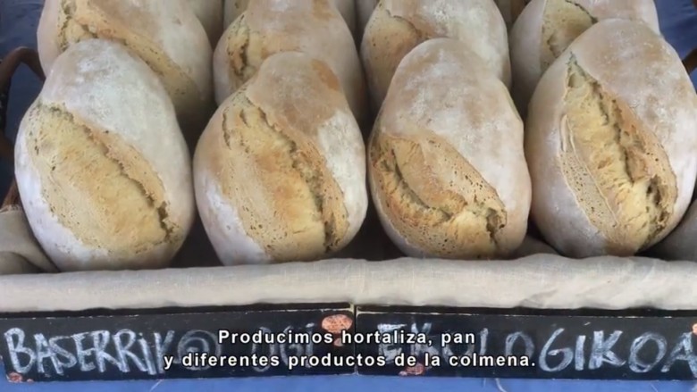 Imagen de cabecera