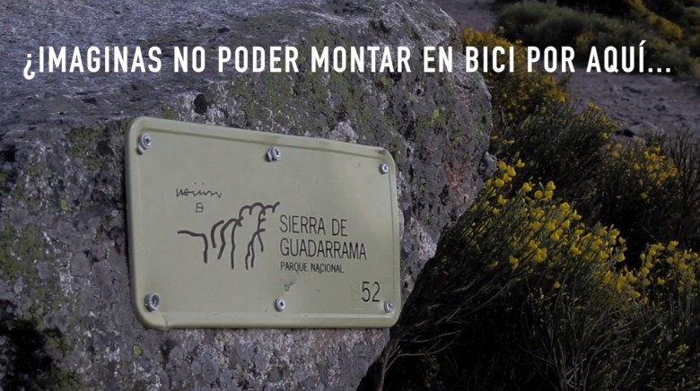 Imagen de cabecera